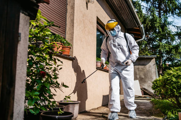 Best Residential Pest Control  in Fairchance, PA