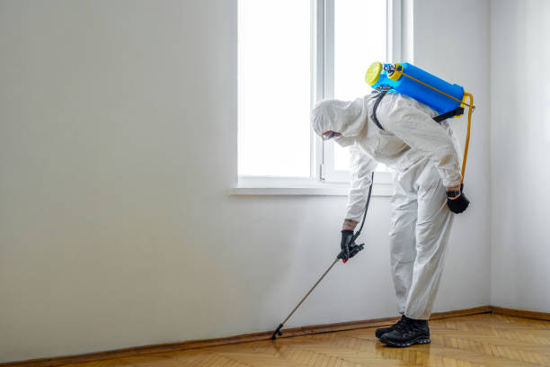 Best Residential Pest Control  in Fairchance, PA