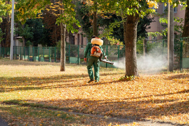 Best Commercial Pest Control Services  in Fairchance, PA